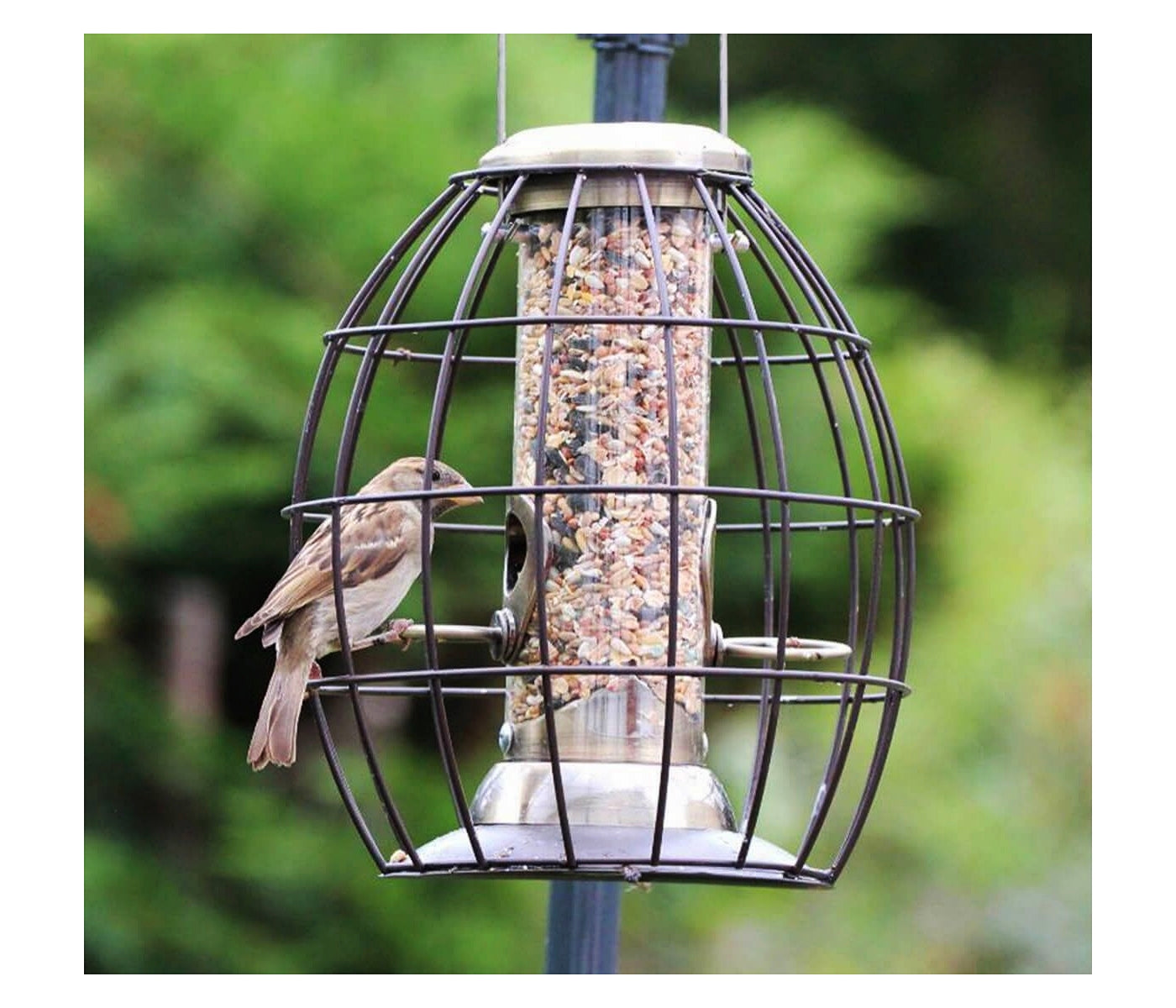 Henry Bell - Heritage Squirrel Proof Seed Feeder - Buy Online SPR Centre UK