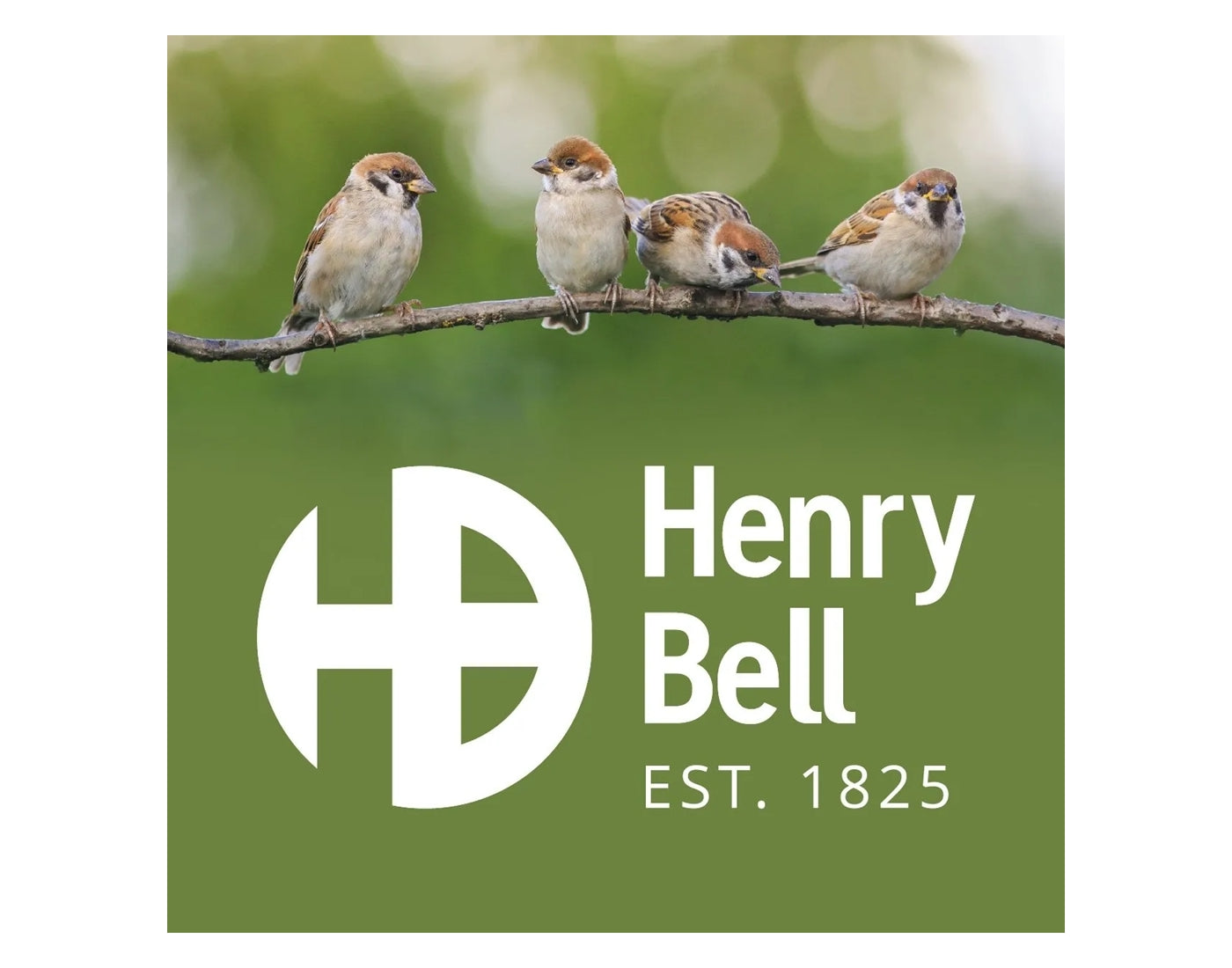 Henry Bell - Essential Squirrel Resistant Seed Feeder *Special Offer* - Buy Online SPR Centre UK