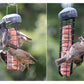 Henry Bell - Suet Cake Variety Pack 10 x 300g | Wild Bird Care - Buy Online SPR Centre UK