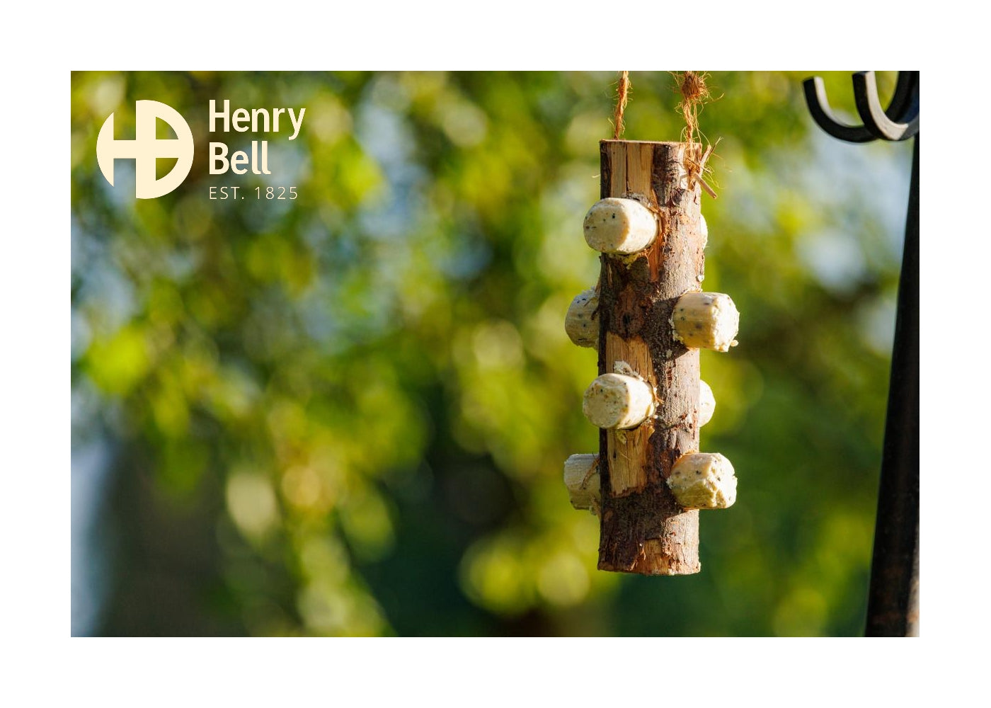 Henry Bell Log Feeder With 4 Insect Oil Logs - Buy Online SPR Centre UK