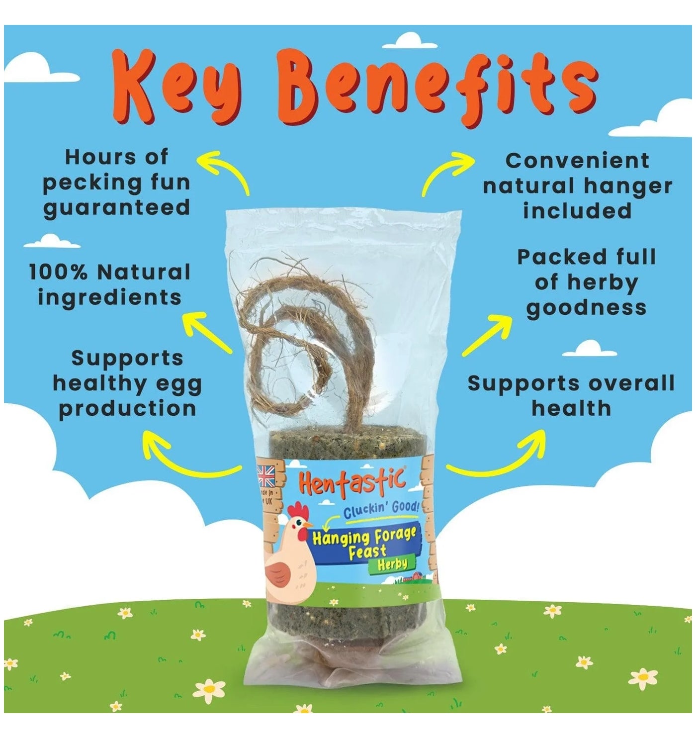 Hentastic - Hanging Forage Feast (Herby) - Buy Online SPR Centre UK