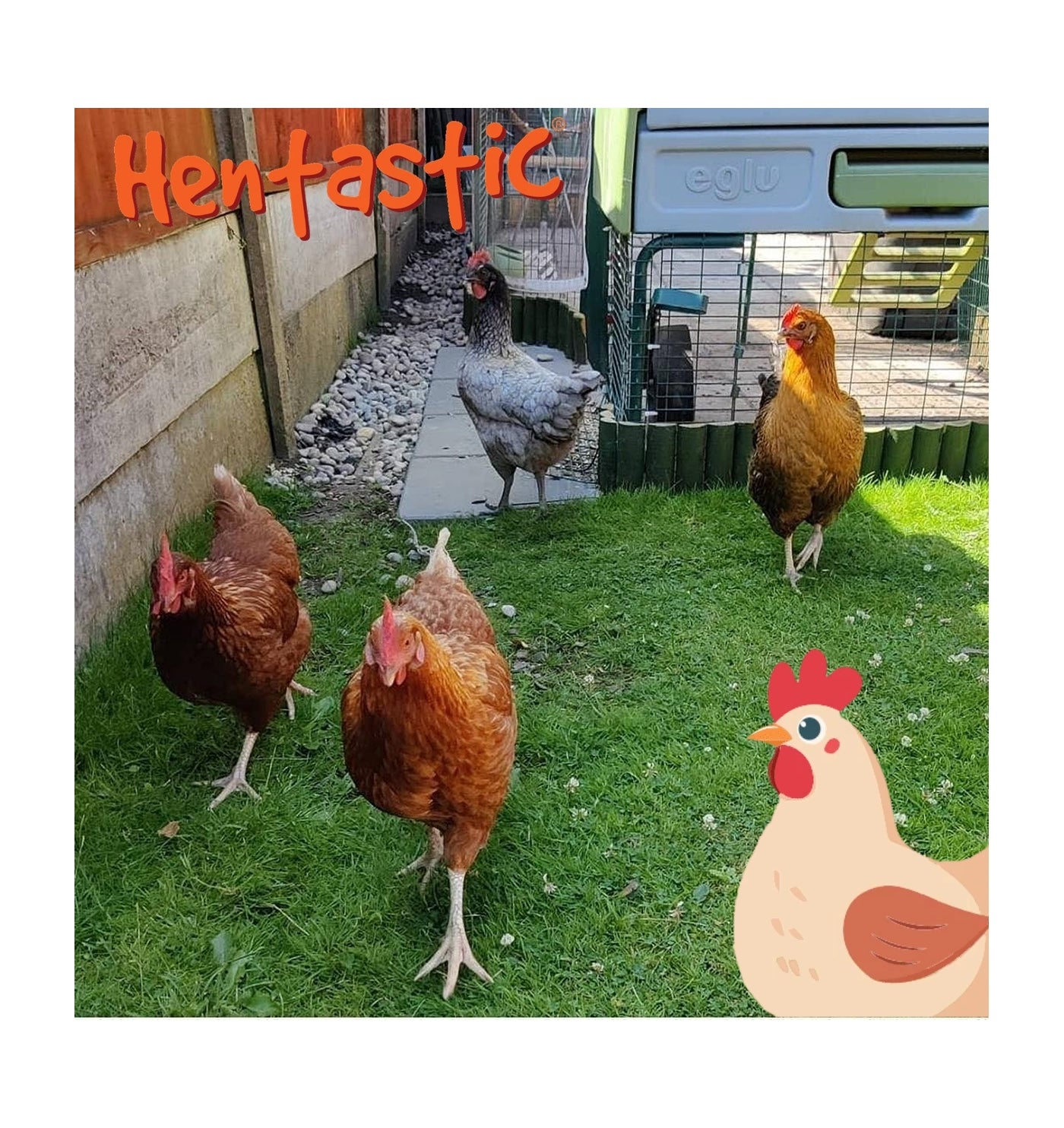 Hentastic - Hanging Forage Feast (Herby) - Buy Online SPR Centre UK