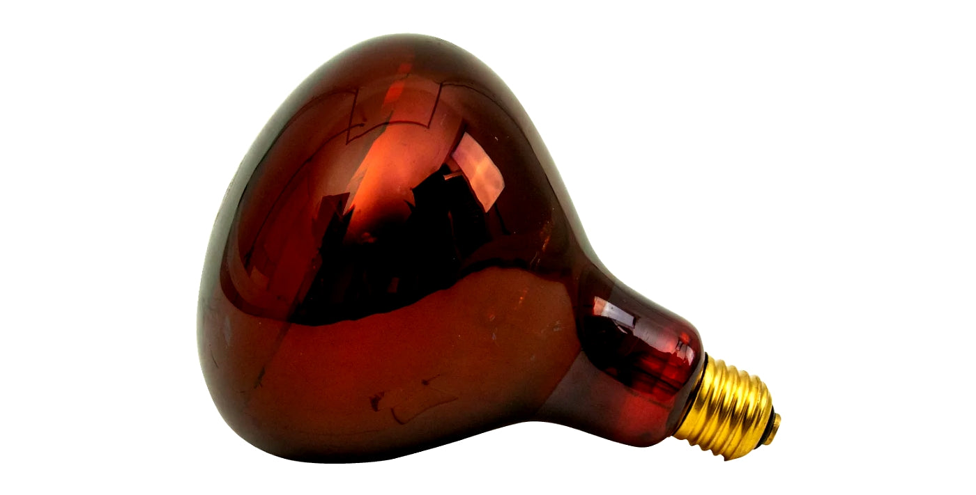 Horizont - Infra-Red Heat Bulb (Ruby Red) 250W - Buy Online SPR Centre UK