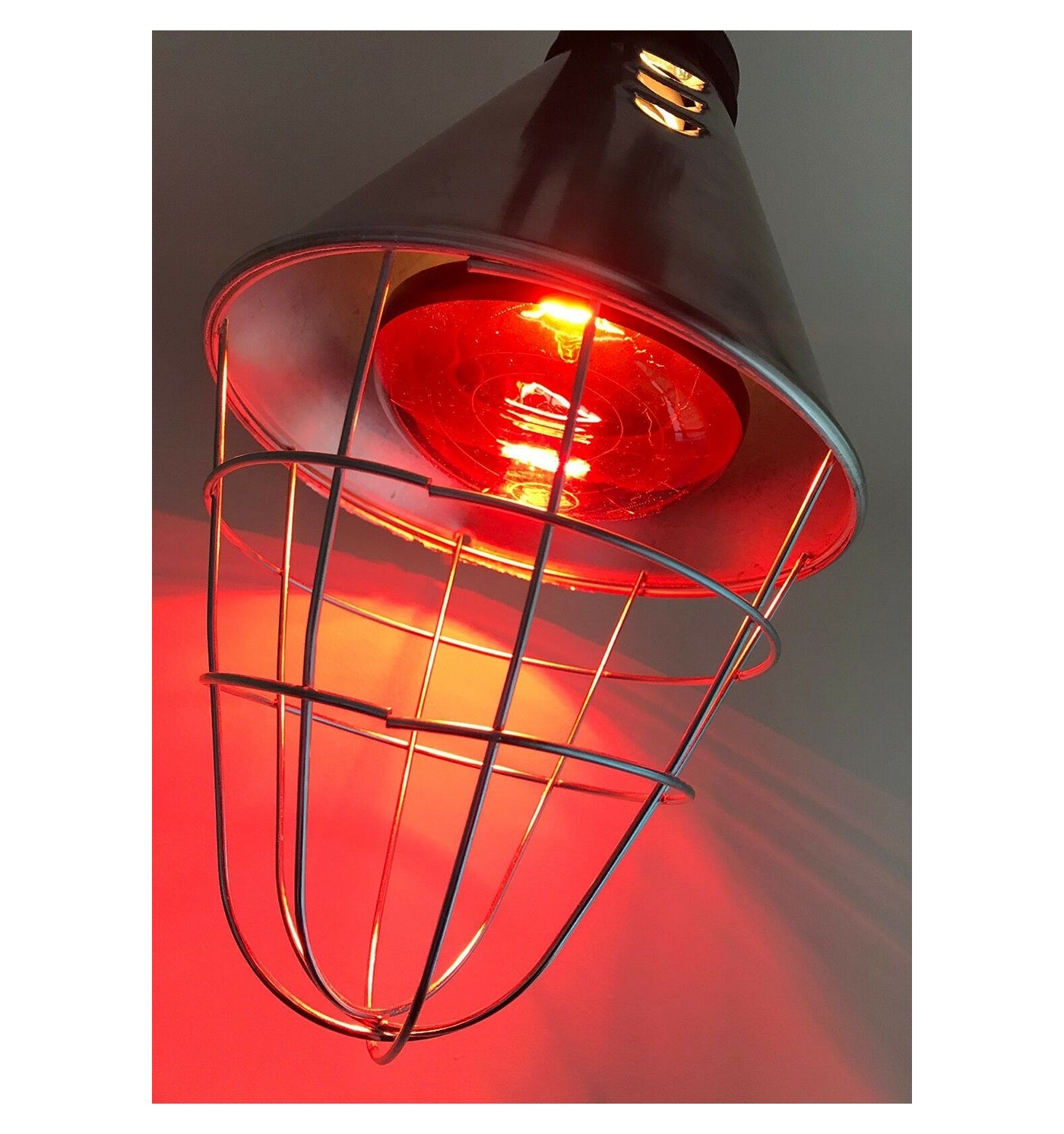 Infrared light sales bulbs for sale