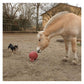 Horsemen's Pride Jolly Ball (Bubblegum) | Horse Toy - Buy Online SPR Centre UK