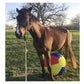 Horsemen's Pride - Jolly Mega Ball Cover - 30" (Beach Ball) - Buy Online SPR Centre UK