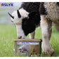Horslyx - Smallholder Block - Buy Online SPR Centre UK