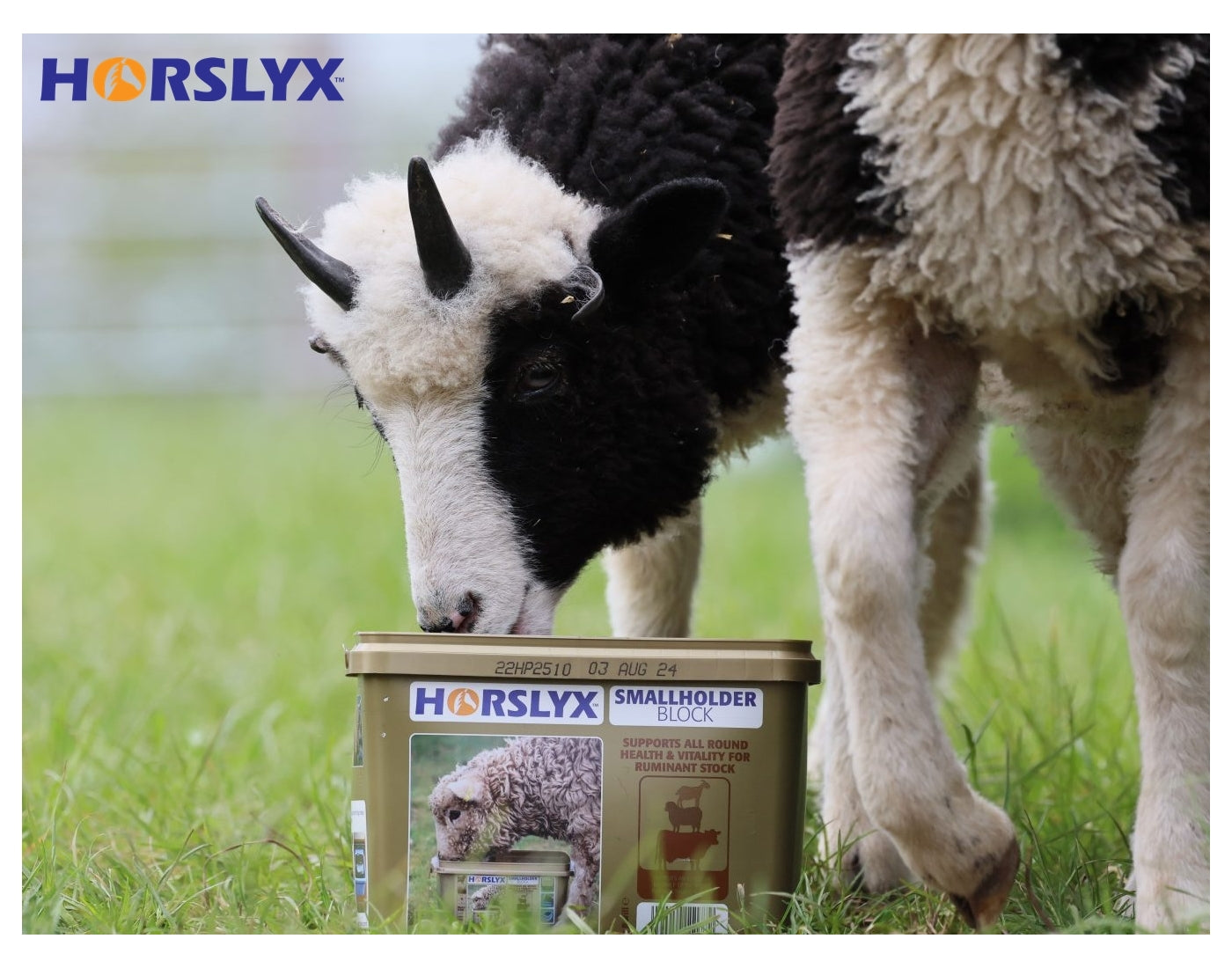 Horslyx - Smallholder Block - Buy Online SPR Centre UK
