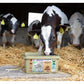 Horslyx - Smallholder Block - Buy Online SPR Centre UK