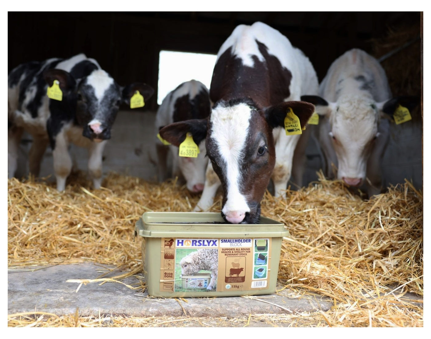 Horslyx - Smallholder Block - Buy Online SPR Centre UK