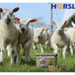 Horslyx - Smallholder Block - Buy Online SPR Centre UK