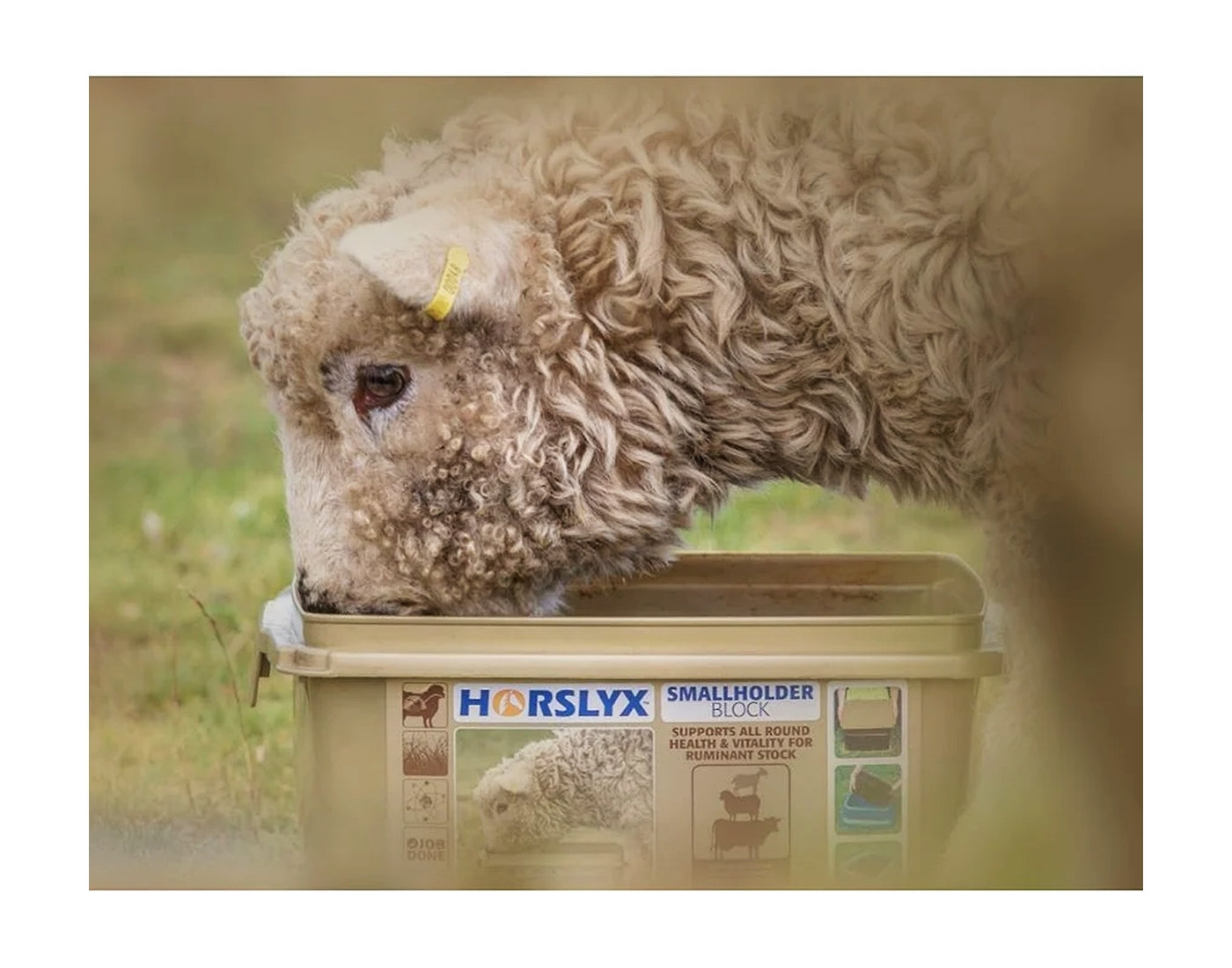 Horslyx - Smallholder Block - Buy Online SPR Centre UK