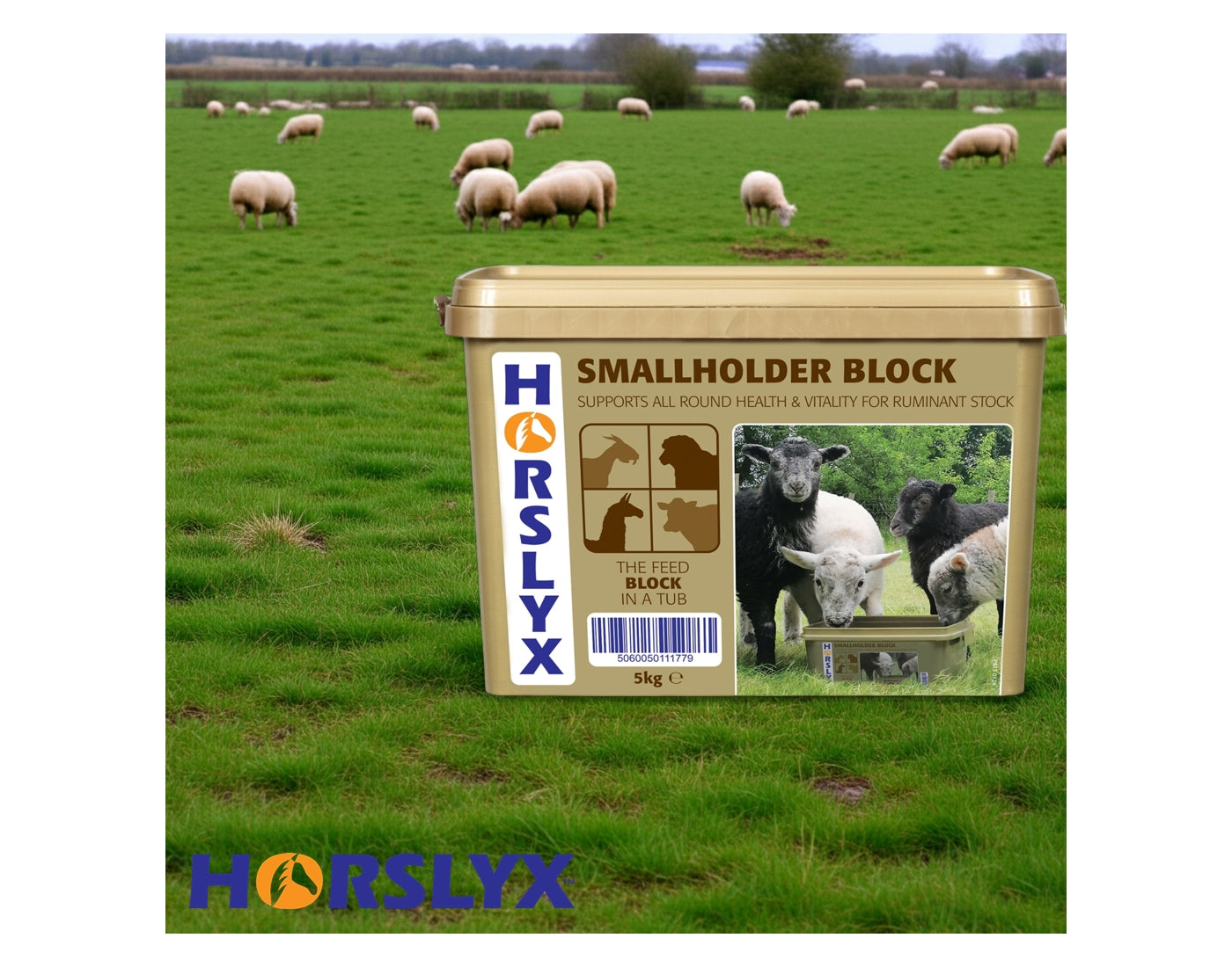 Horslyx - Smallholder Block - Buy Online SPR Centre UK