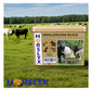 Horslyx - Smallholder Block - Buy Online SPR Centre UK