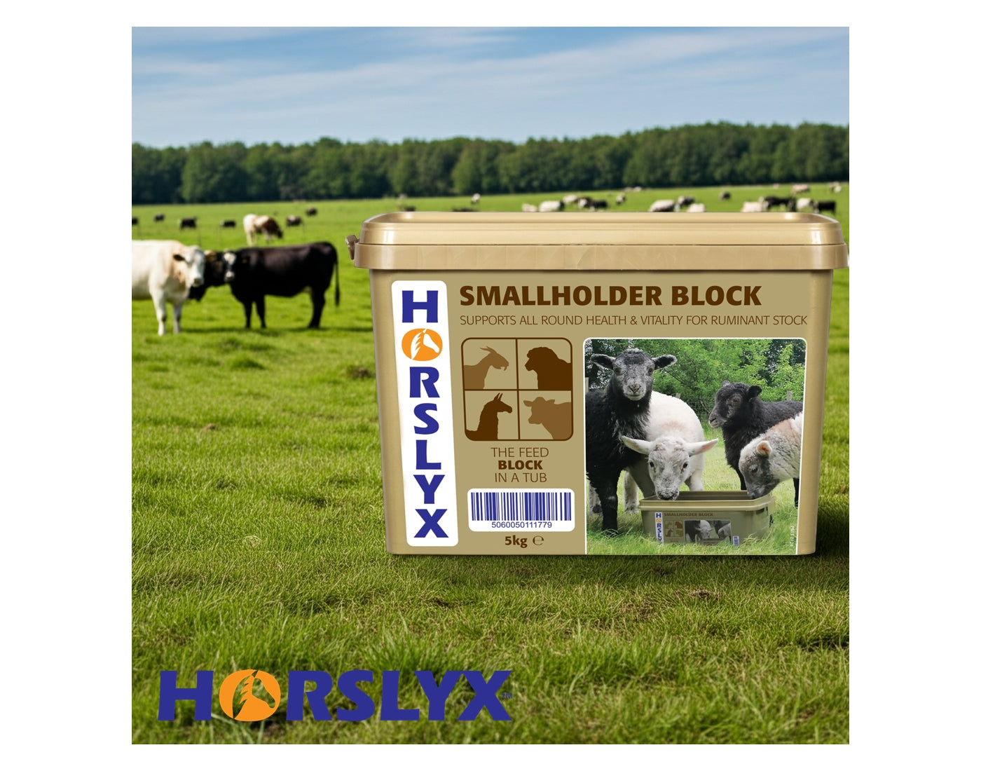 Horslyx - Smallholder Block - Buy Online SPR Centre UK