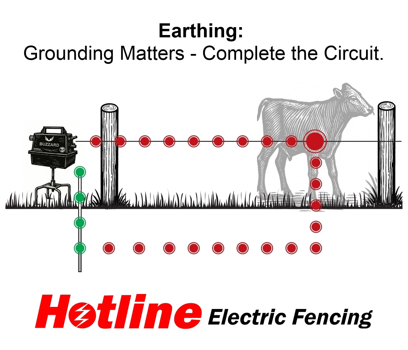 Hotline - Buzzard Energiser 12 Volts | 3.2 Joules - Buy Online SPR Centre UK