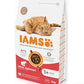 IAMS - Adult Dry Cat Food with Salmon 2kg - Buy Online SPR Centre UK