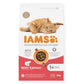 IAMS - Adult Dry Cat Food with Salmon 2kg - Buy Online SPR Centre UK