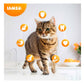 IAMS For Vitality - Adult Cat Food with Fresh Chicken 2kg - Buy Online SPR Centre UK