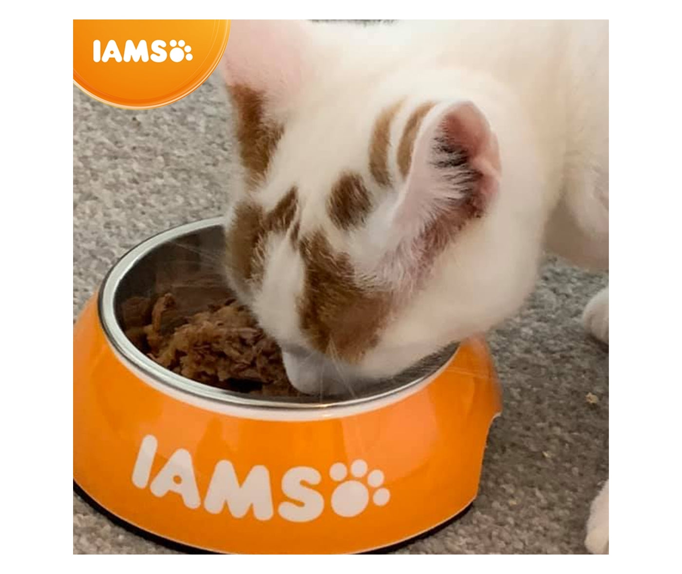 IAMS For Vitality - Adult/Senior Hairball Reduction Cat Food 2kg - Buy Online SPR Centre UK