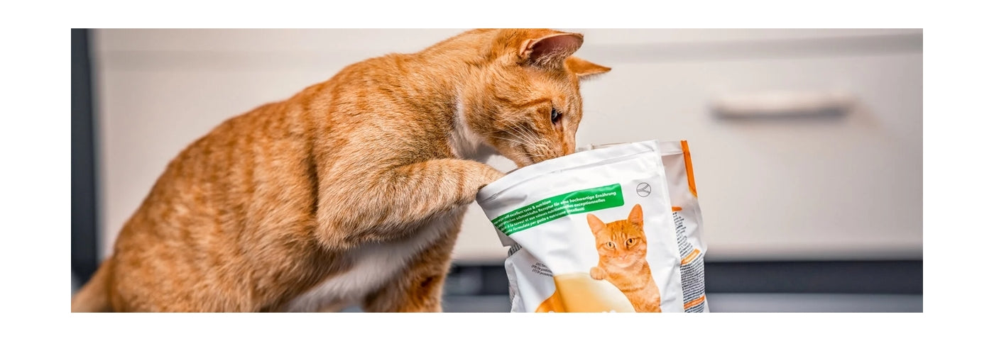 IAMS For Vitality - Adult Cat Food with Lamb 2kg - Buy Online SPR Centre UK