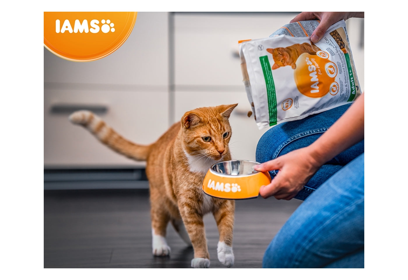 IAMS For Vitality Adult Senior Light in Fat Sterilised Cat Food