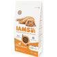 IAMS For Vitality - Kitten Food with Fresh Chicken 2kg - Buy Online SPR Centre UK