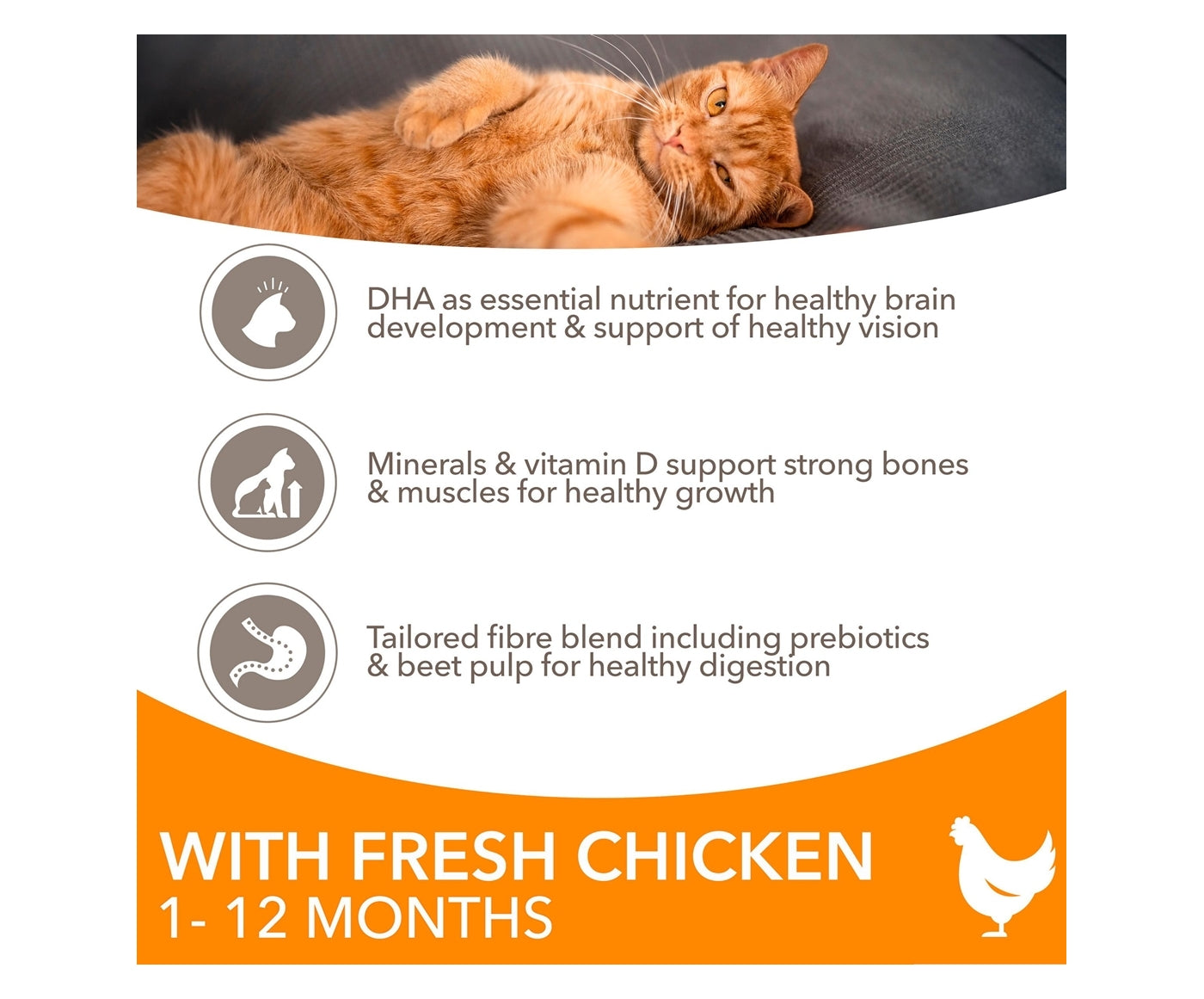 IAMS For Vitality - Kitten Food with Fresh Chicken 2kg - Buy Online SPR Centre UK