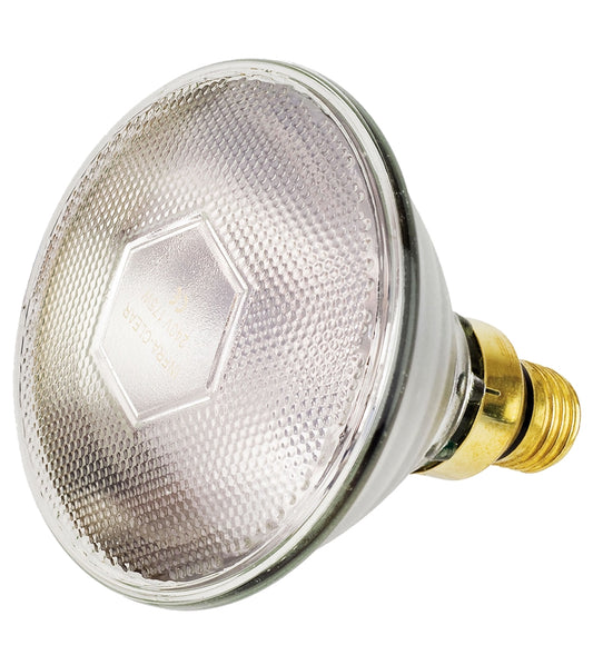 Intelec - PAR38 Infra-Red Heat Bulb (Clear) - 100 Watt