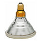 Intelec - PAR38 Infra-Red Heat Bulb (Clear) - 100 Watt