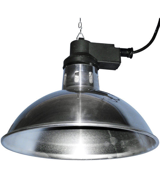 Intelec - Traditional Infra-Red Heat Lamp - Buy Online SPR Centre UK