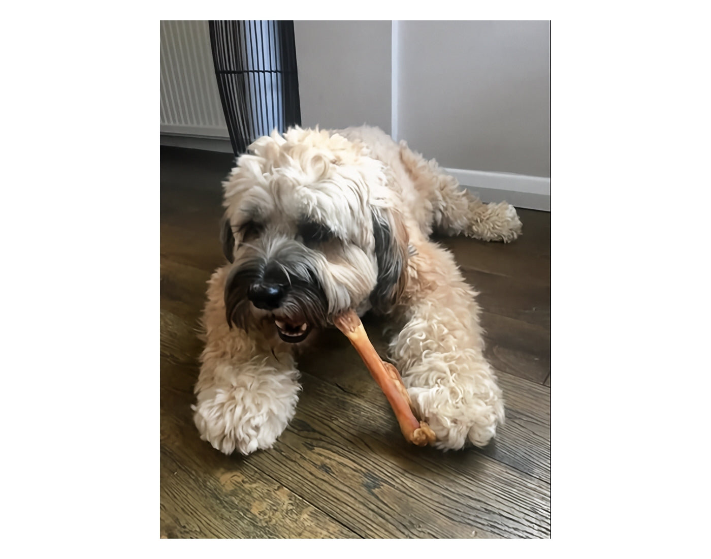 JR Pet Products - Beef Tendons 250g - Buy Online SPR Centre UK