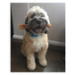 JR Pet Products - Beef Tendons 250g - Buy Online SPR Centre UK