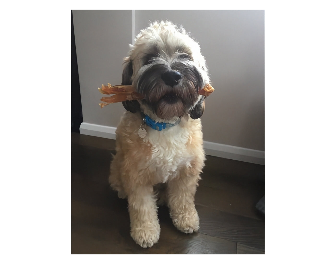 JR Pet Products - Beef Tendons 250g - Buy Online SPR Centre UK