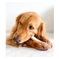 JR Pet Products - Beef Tails 250g - Buy Online SPR Centre UK