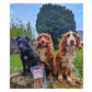 JR Pet Products - Natural Twists (Beef) 100g - Buy Online SPR Centre UK