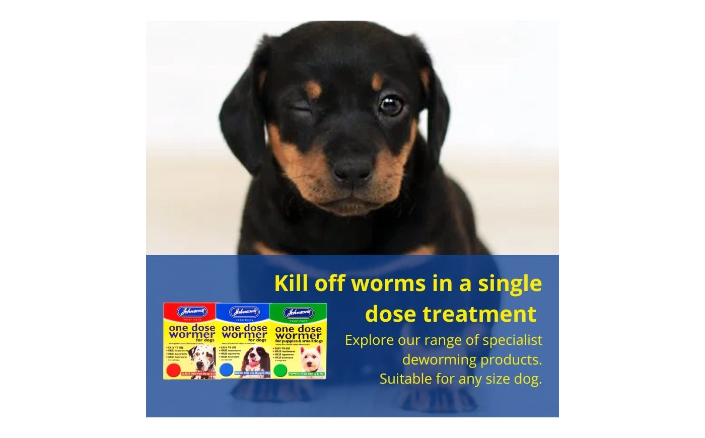 Johnson's - One Dose Wormer for Puppies & Small Dogs - Buy Online SPR Centre UK