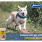 Johnson's - 4Joints Extra Strength Tablets - Buy Online SPR Centre UK