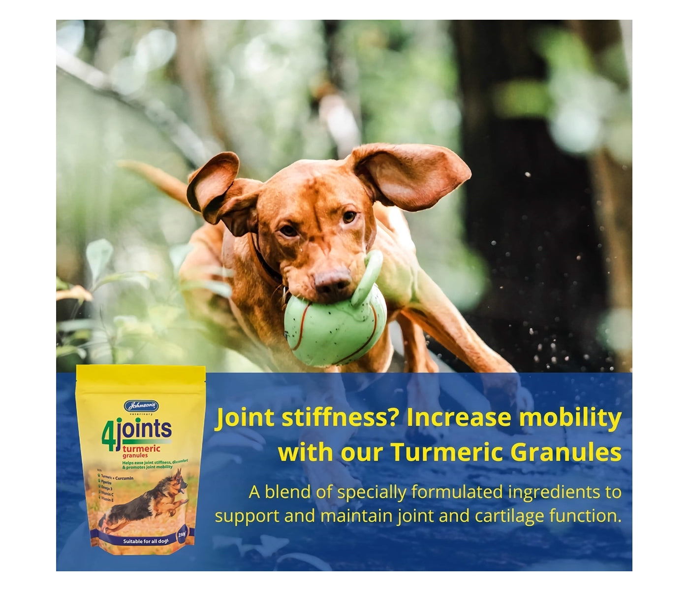 Johnson's - 4joints Turmeric Granules - Buy Online SPR Centre UK