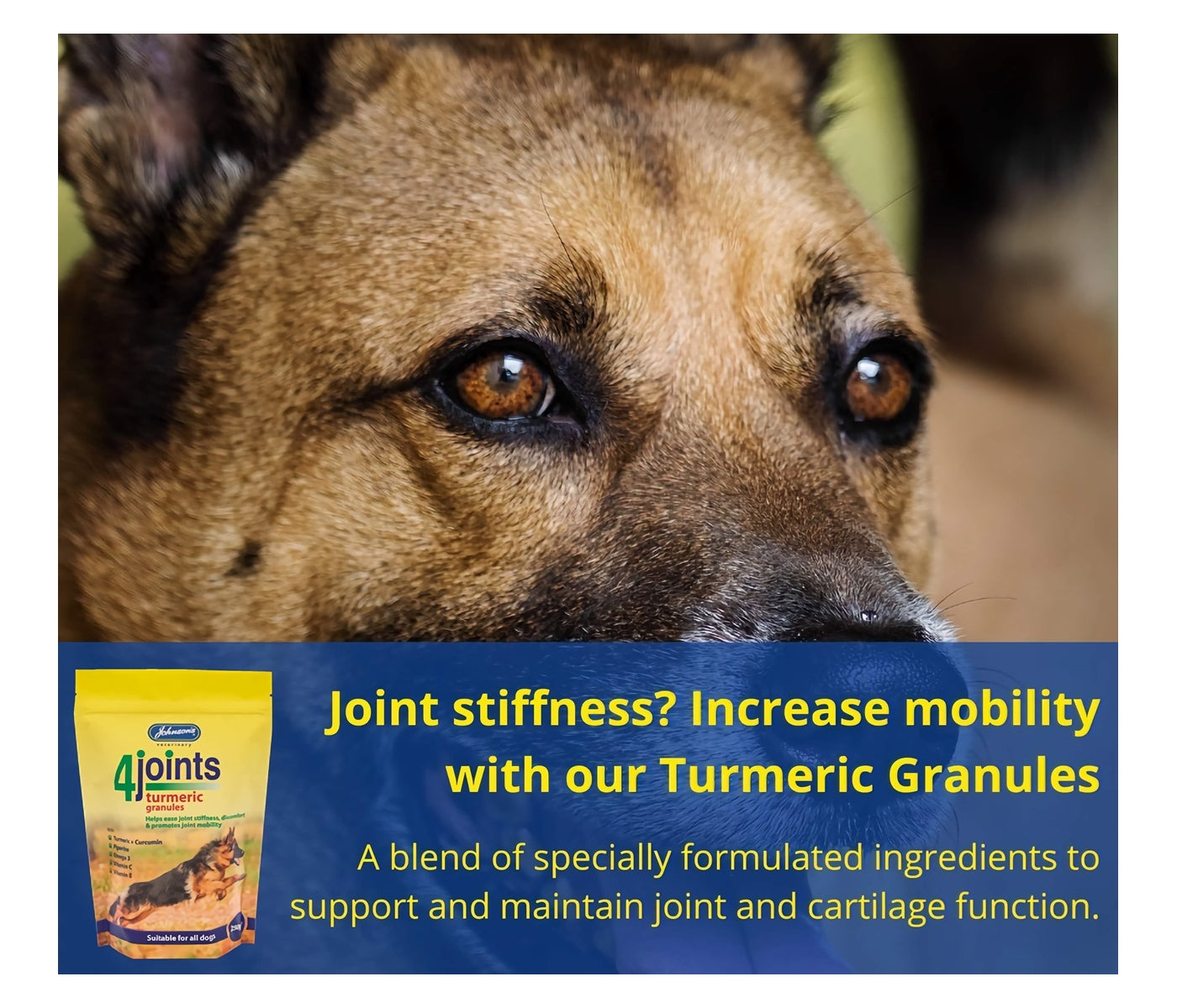 Johnson's - 4joints Turmeric Granules - Buy Online SPR Centre UK
