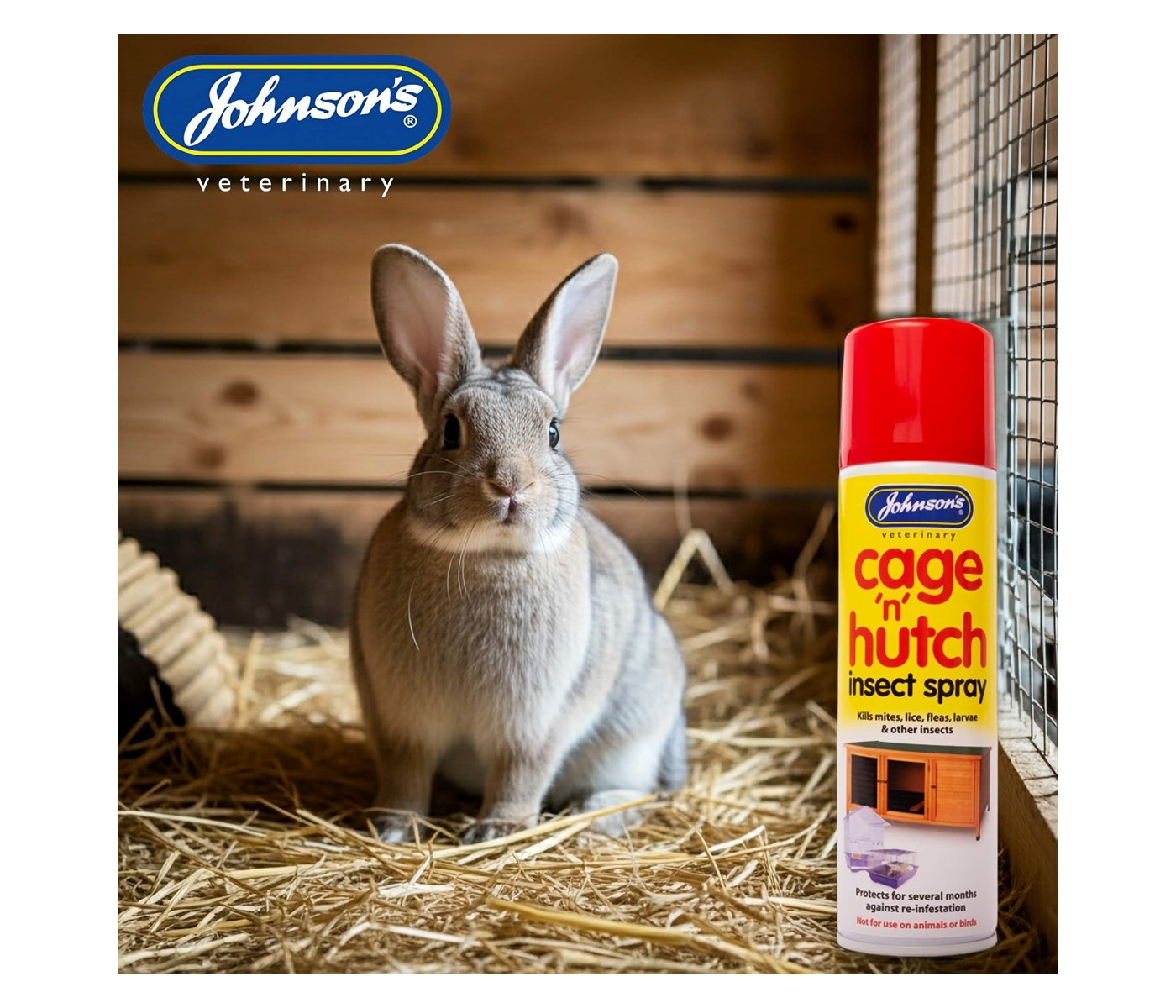 Johnson's - Cage 'n' Hutch Insect Spray - Buy Online SPR Centre UK