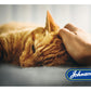 Johnson's - Calming Spray for Dogs & Cats - Buy Online SPR Centre UK