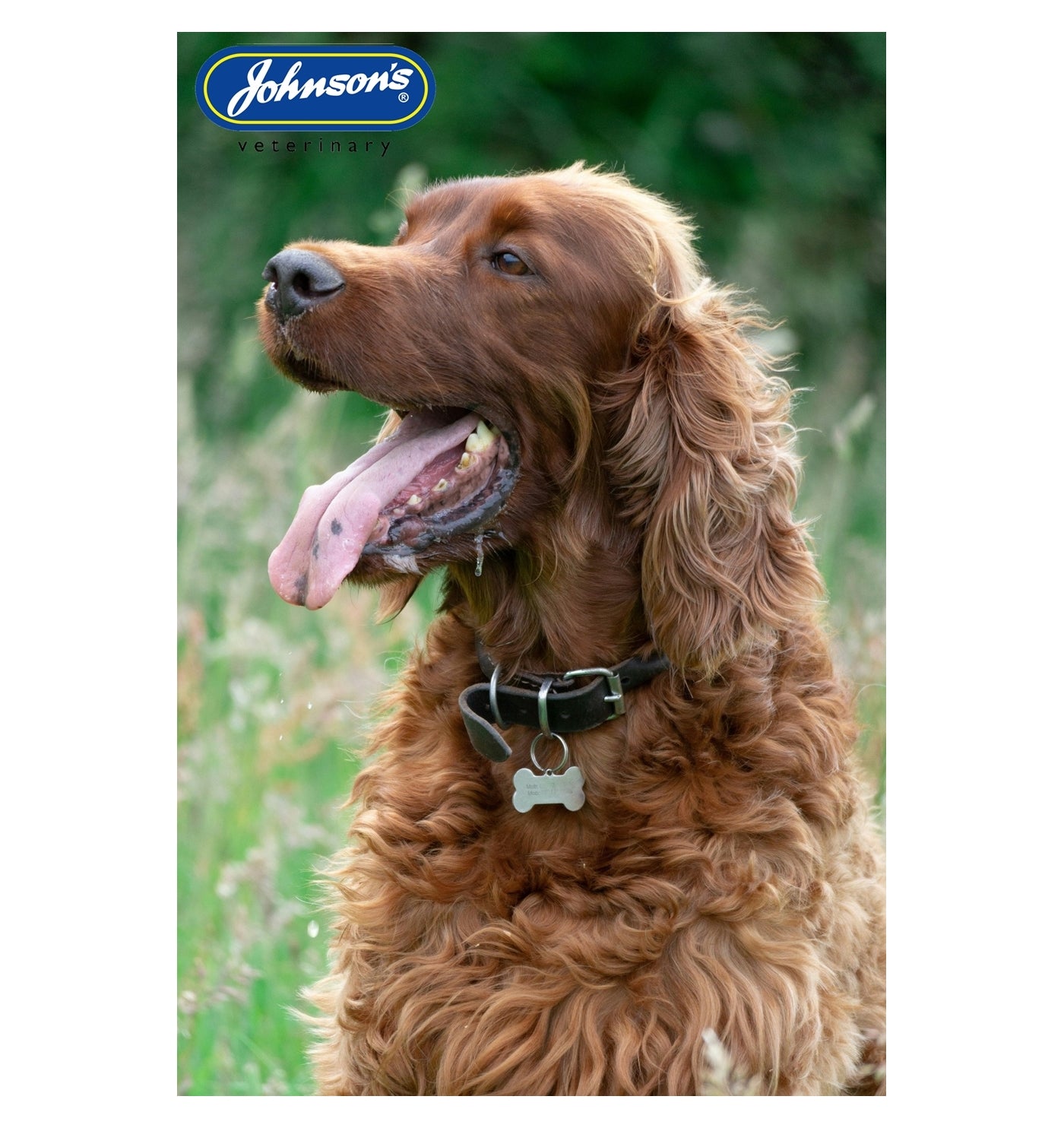 Johnson's - Antiseptic Wound Spray for Dogs - Buy Online SPR Centre UK