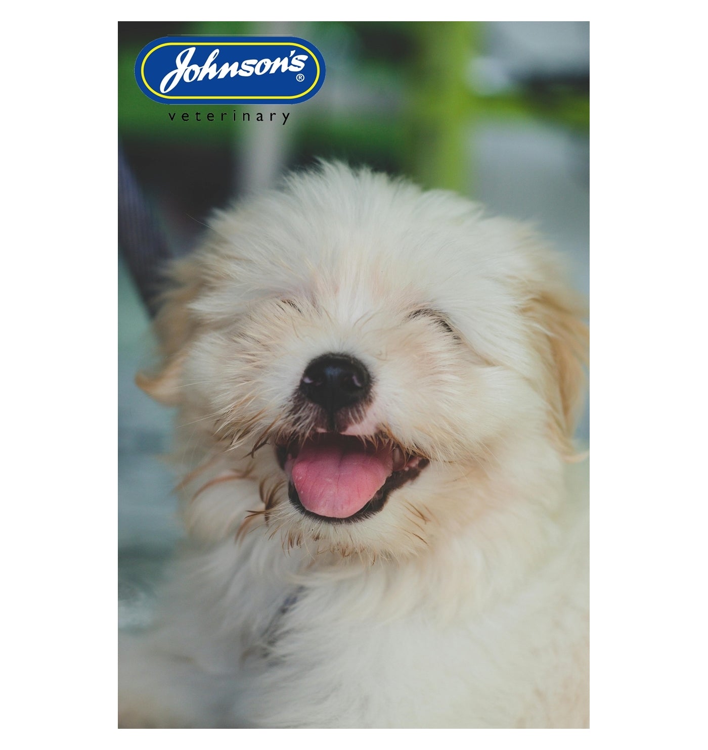 Johnson's - Dog Deodorant Spray (Babyfresh) - Buy Online SPR Centre UK