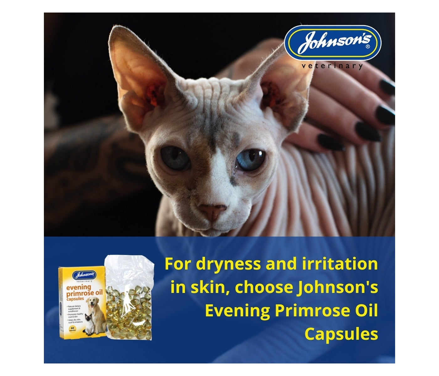 Johnson's - Evening Primrose Oil Capsules for Dogs & Cats - Buy Online SPR Centre UK