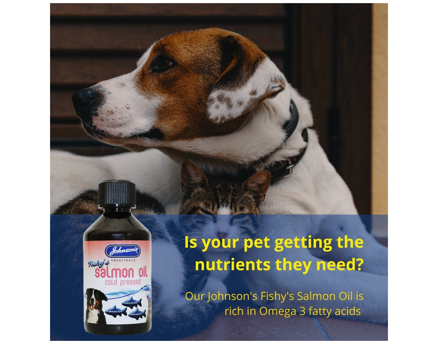 Johnson's - Fishy’s Salmon Oil 250ml - Buy Online SPR Centre UK