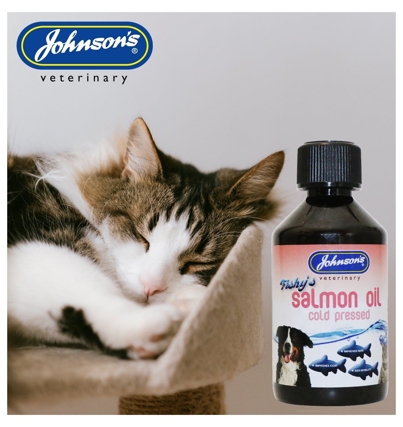 Johnson's - Fishy’s Salmon Oil 250ml - Buy Online SPR Centre UK