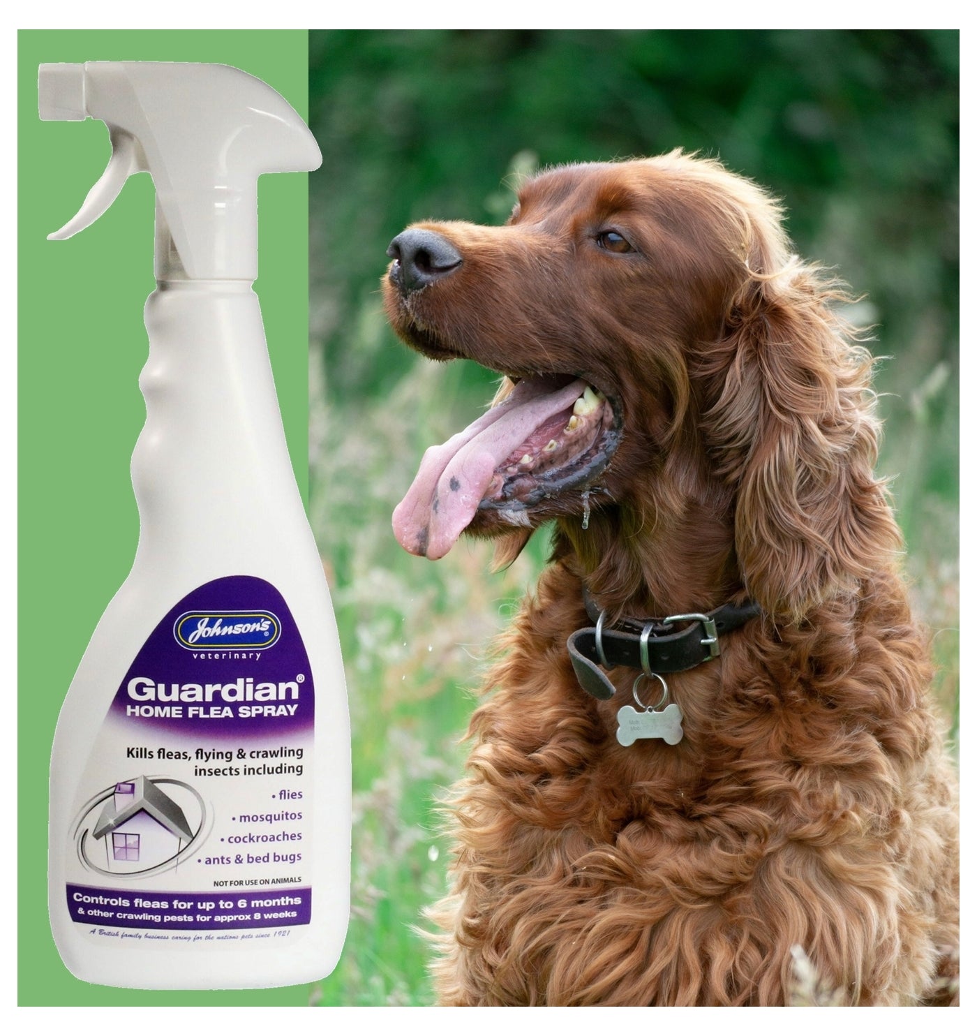 Johnson's - Guardian Home Flea Spray 500ml - Buy Online SPR Centre UK