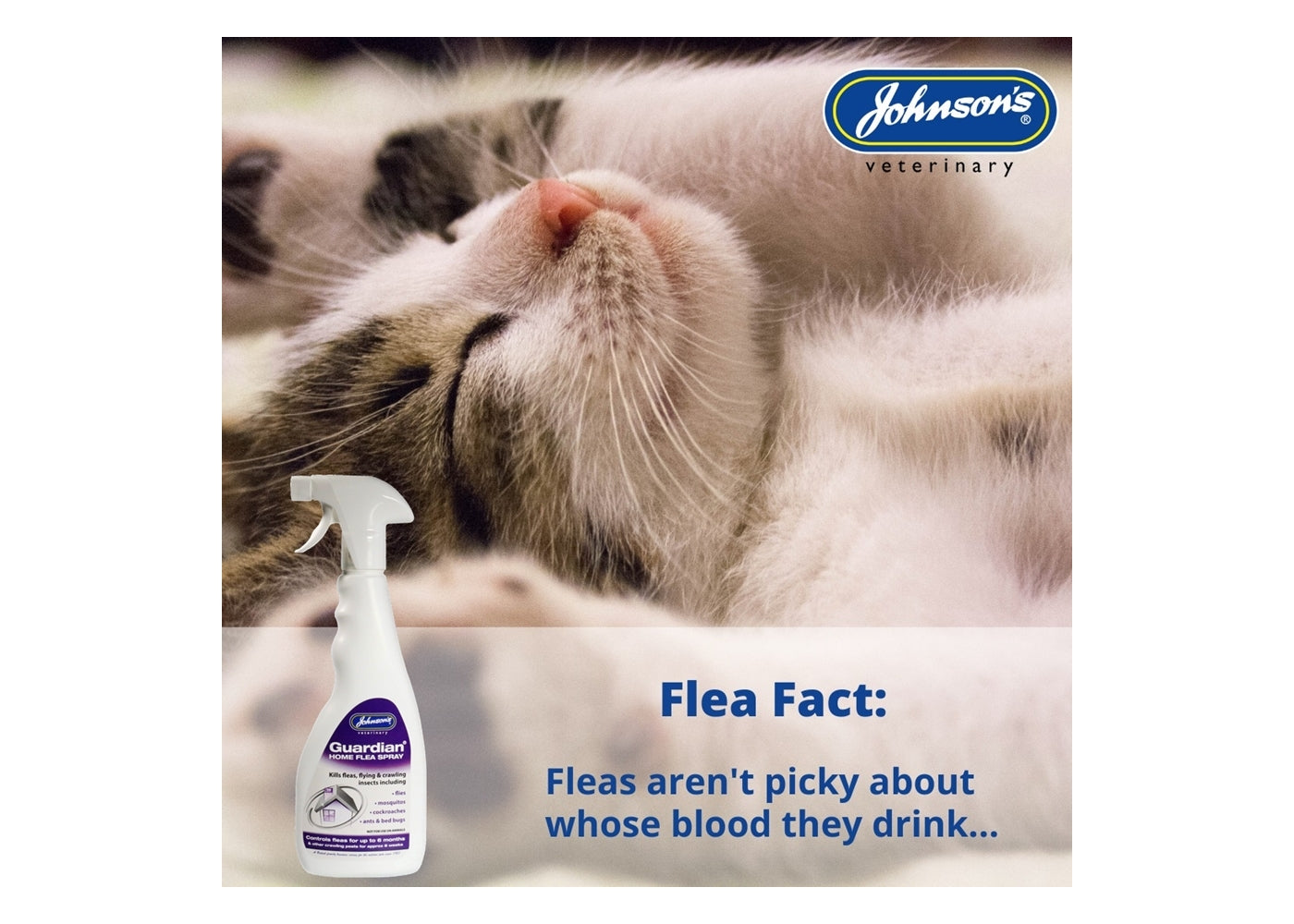 Johnson's - Guardian Home Flea Spray 500ml - Buy Online SPR Centre UK