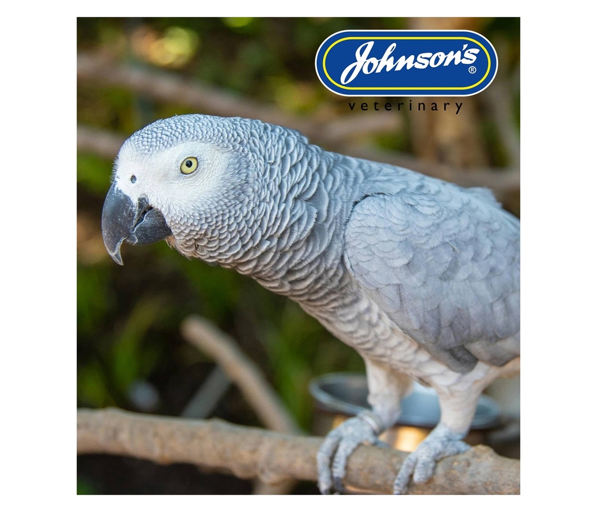 Johnson's - Iodised Condition Pek for Large Cage Birds - Buy Online SPR Centre UK